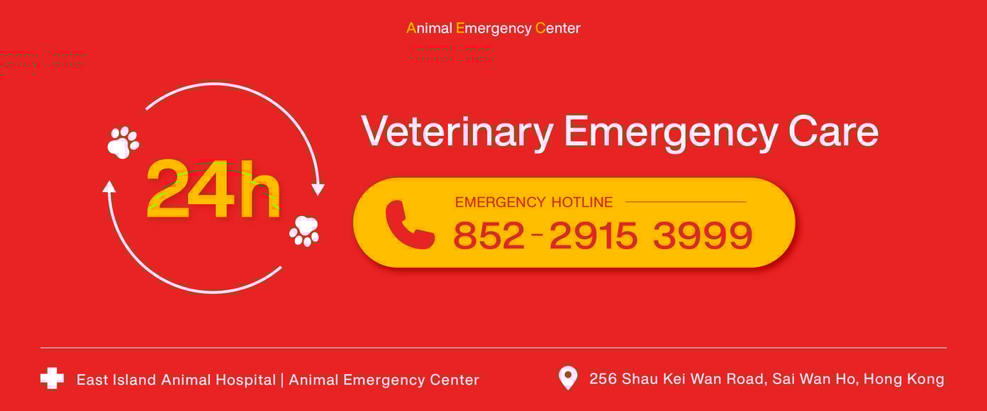 veterinary emergency care