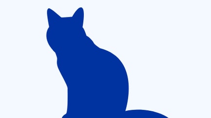 blue_cat