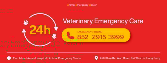 veterinary emergency care