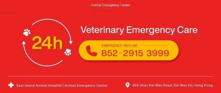 veterinary emergency care