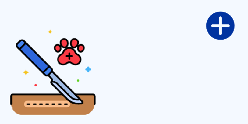 /sites/g/files/fnmzdf3791/files/2023-06/Surgery.png