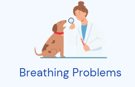 breathing problems image