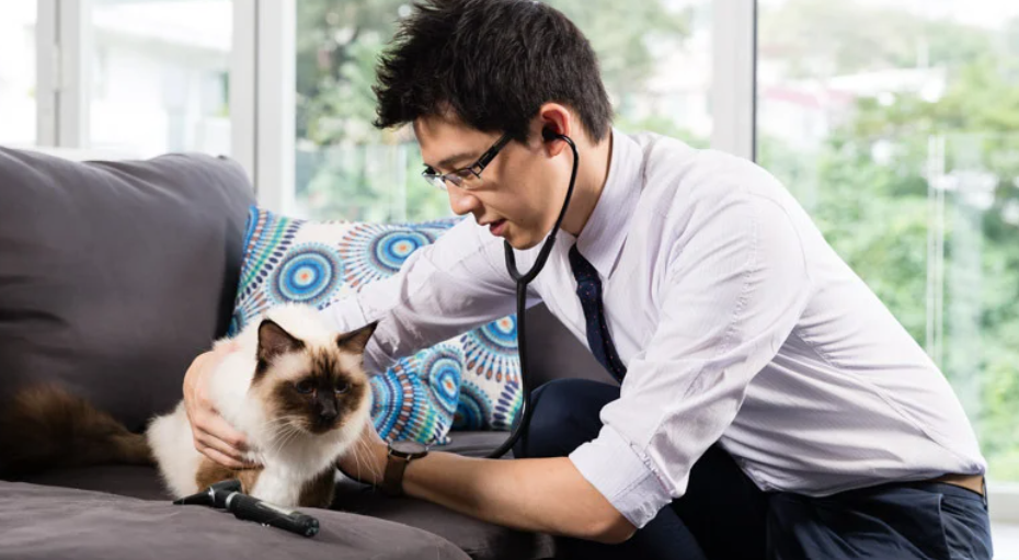 HouseCall Service