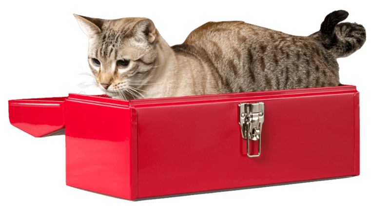 [removal.ai]_e75efa2f-0b1a-4587-a176-2efc83ca5232-cat_artticle