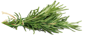 Traditional leaves