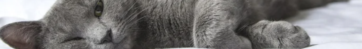 cancer_banner