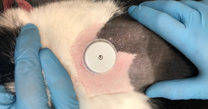 sensor