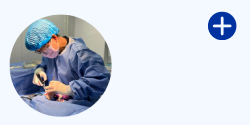 /sites/g/files/fnmzdf3791/files/2023-10/Surgery.jpg