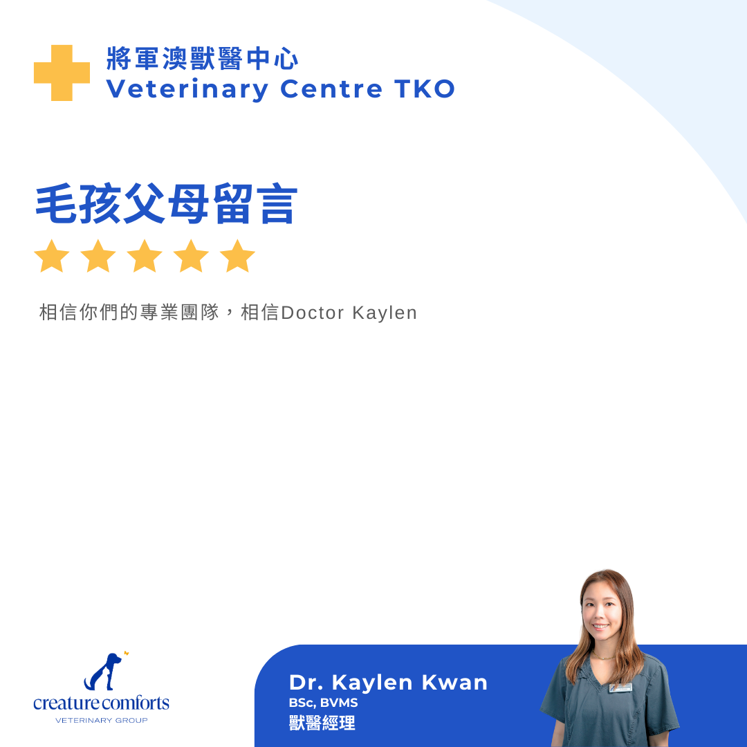 Kaylen_testimonial_review