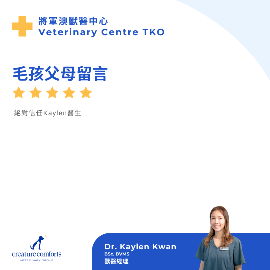 Kaylen_testimonial_review