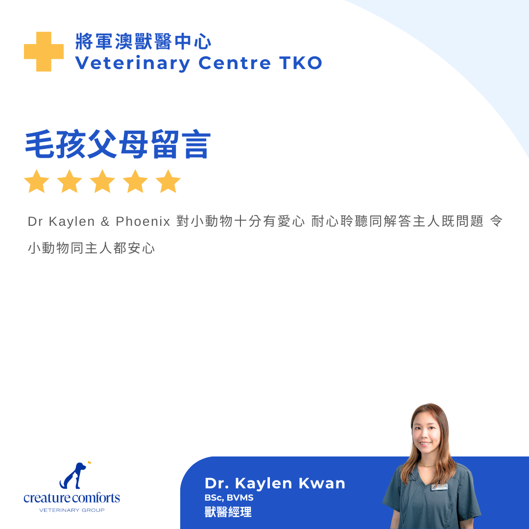 Kaylen_testimonial_review