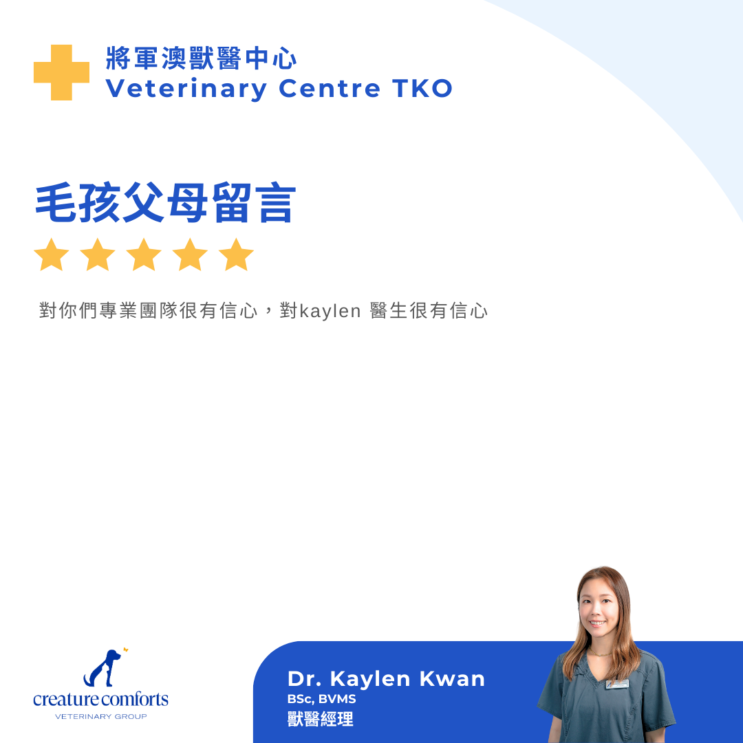 Kaylen_testimonial_review