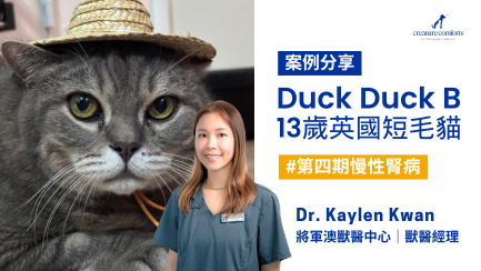 Duck Duck B 的腎病實錄|從發現到治療全紀錄