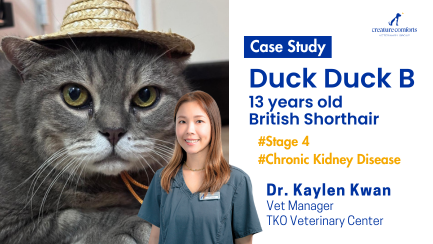 Duck_B_kidney_disease_journey