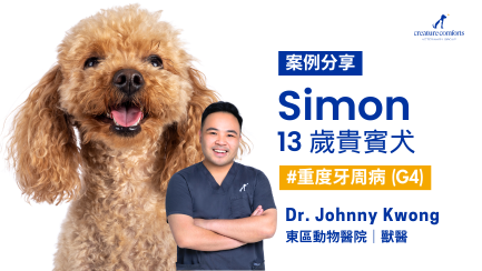Simon 的牙科案例