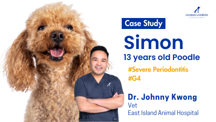 simon_dental_story