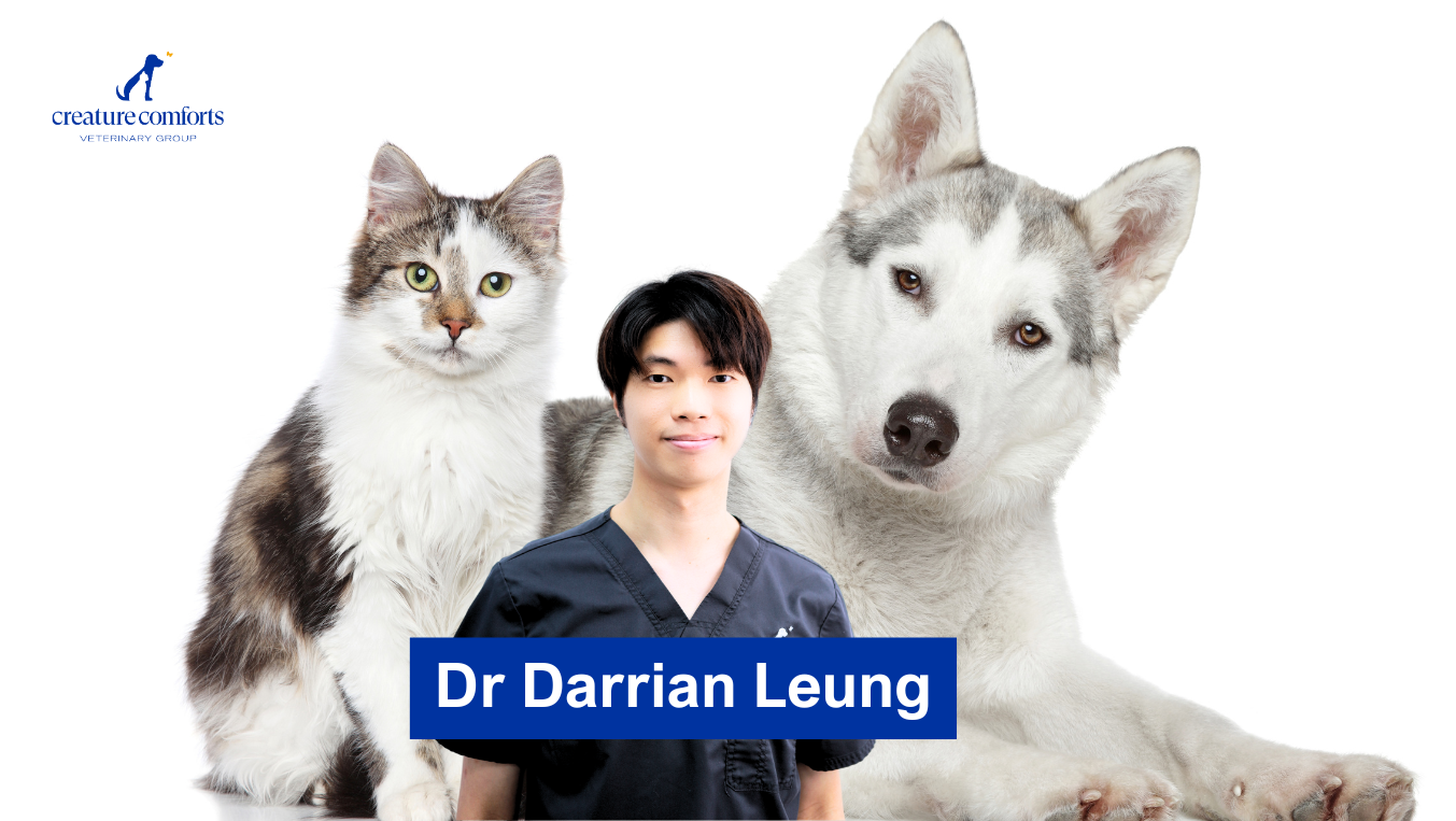 Darrian_Leung_casestudy