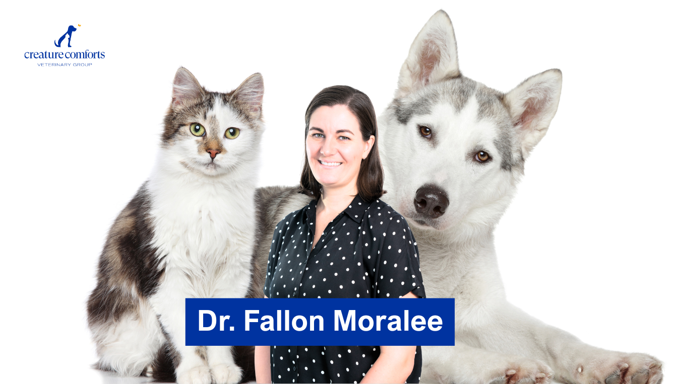 Fallon_Moralee_Casestudy