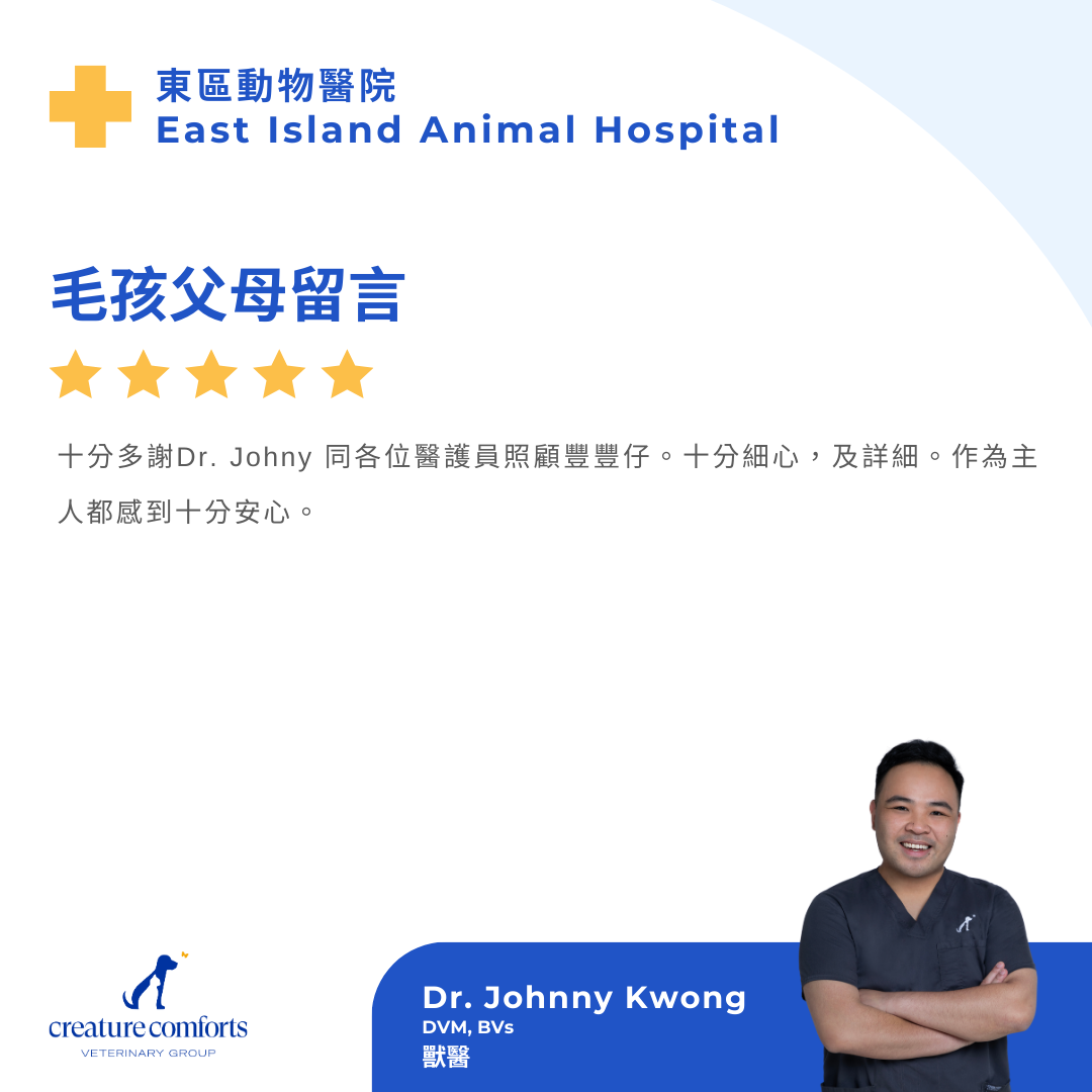 johnny-testimonial-hk