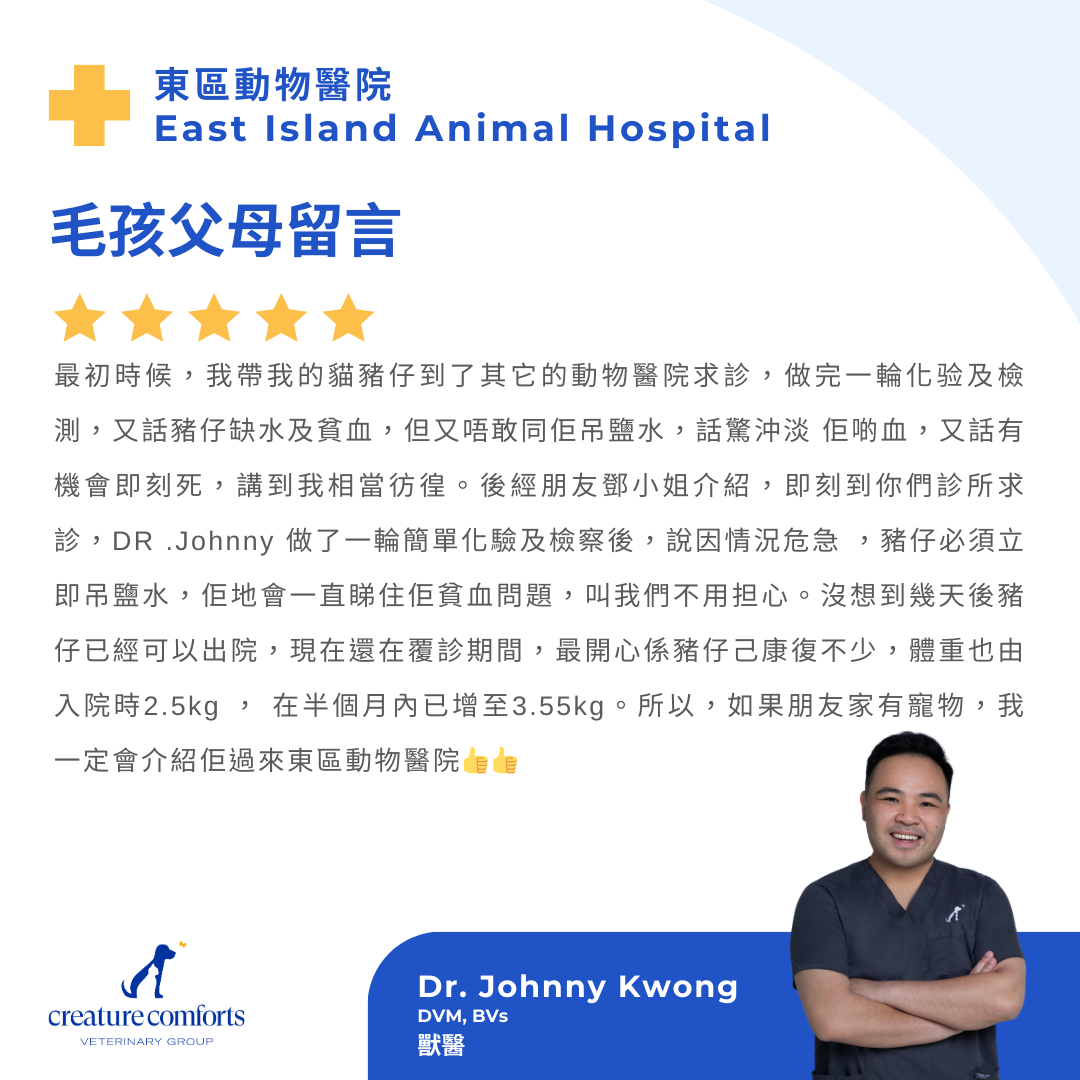 johnny-testimonial-hk-2