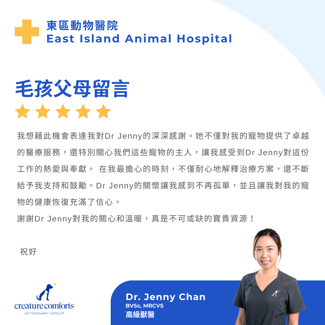 chan-testomonial-1
