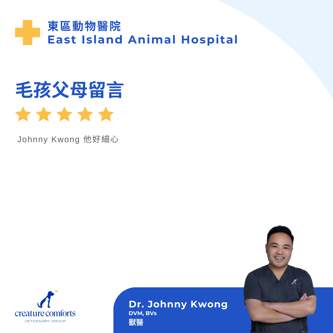 johnny-testimonial-hk-3