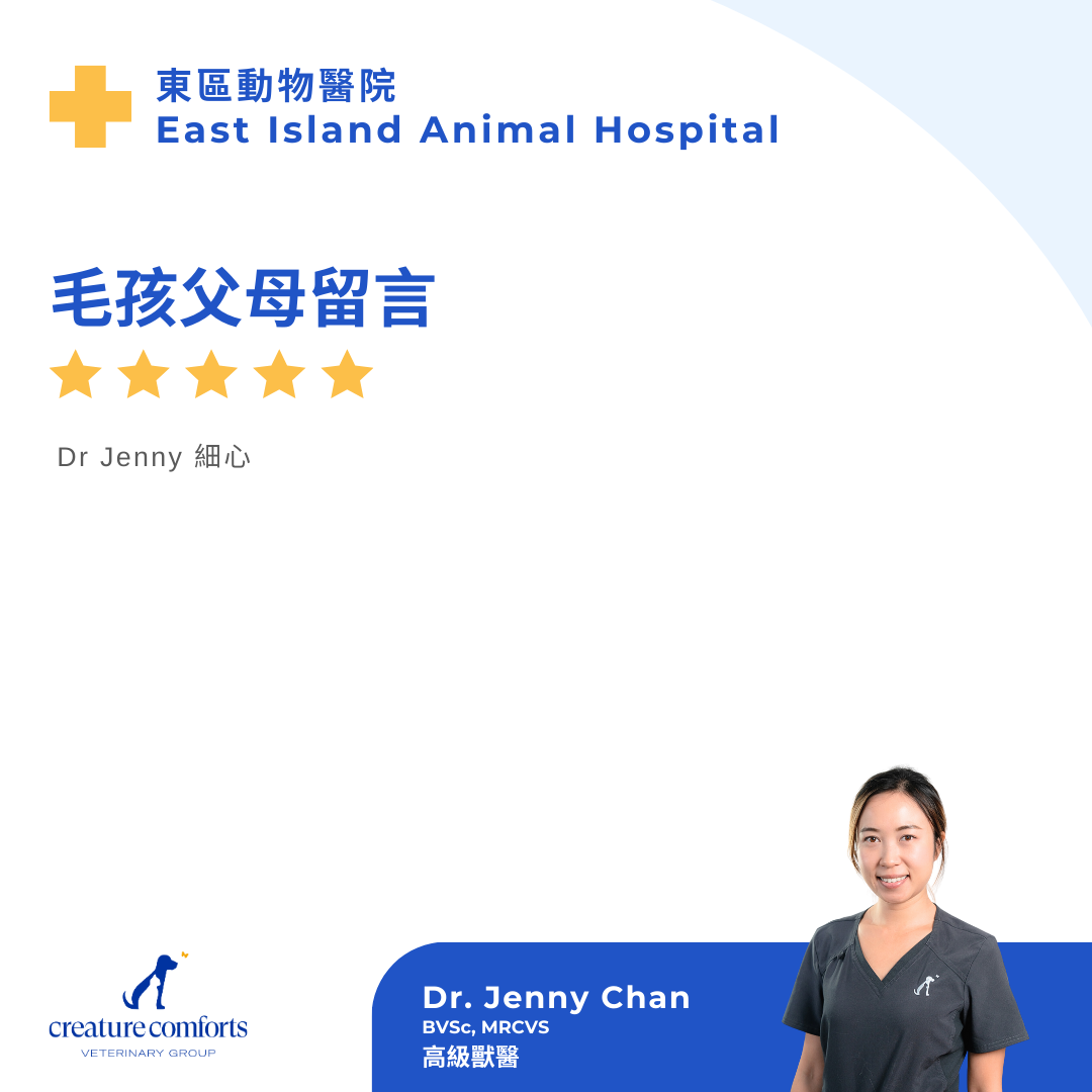 chan-testomonial-2