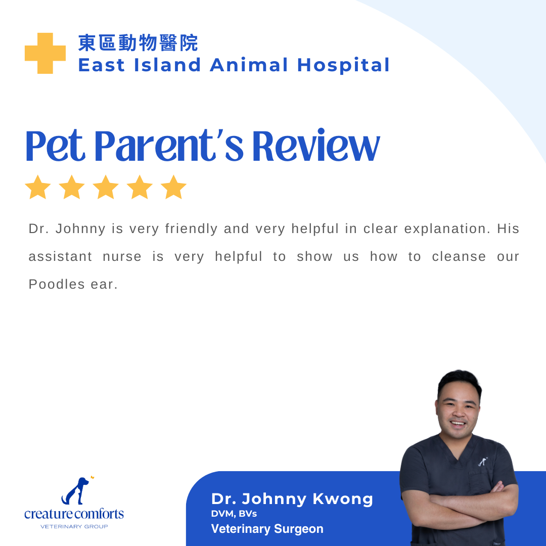 johnny-testimonial-hk-4