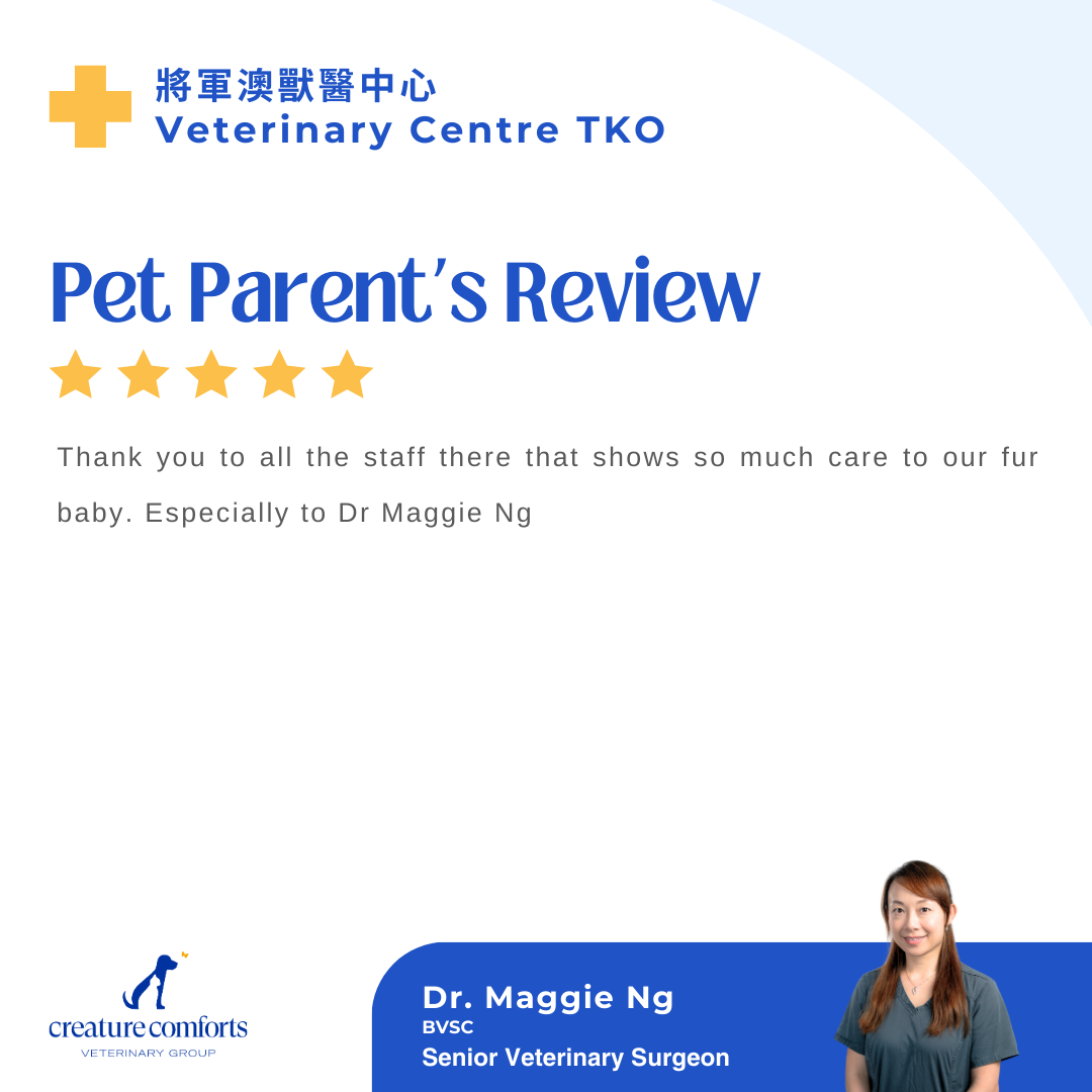 maggie-testomonial-3