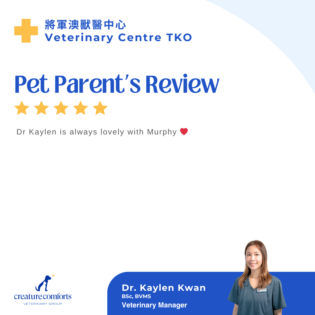 kaylen-testimonial-8