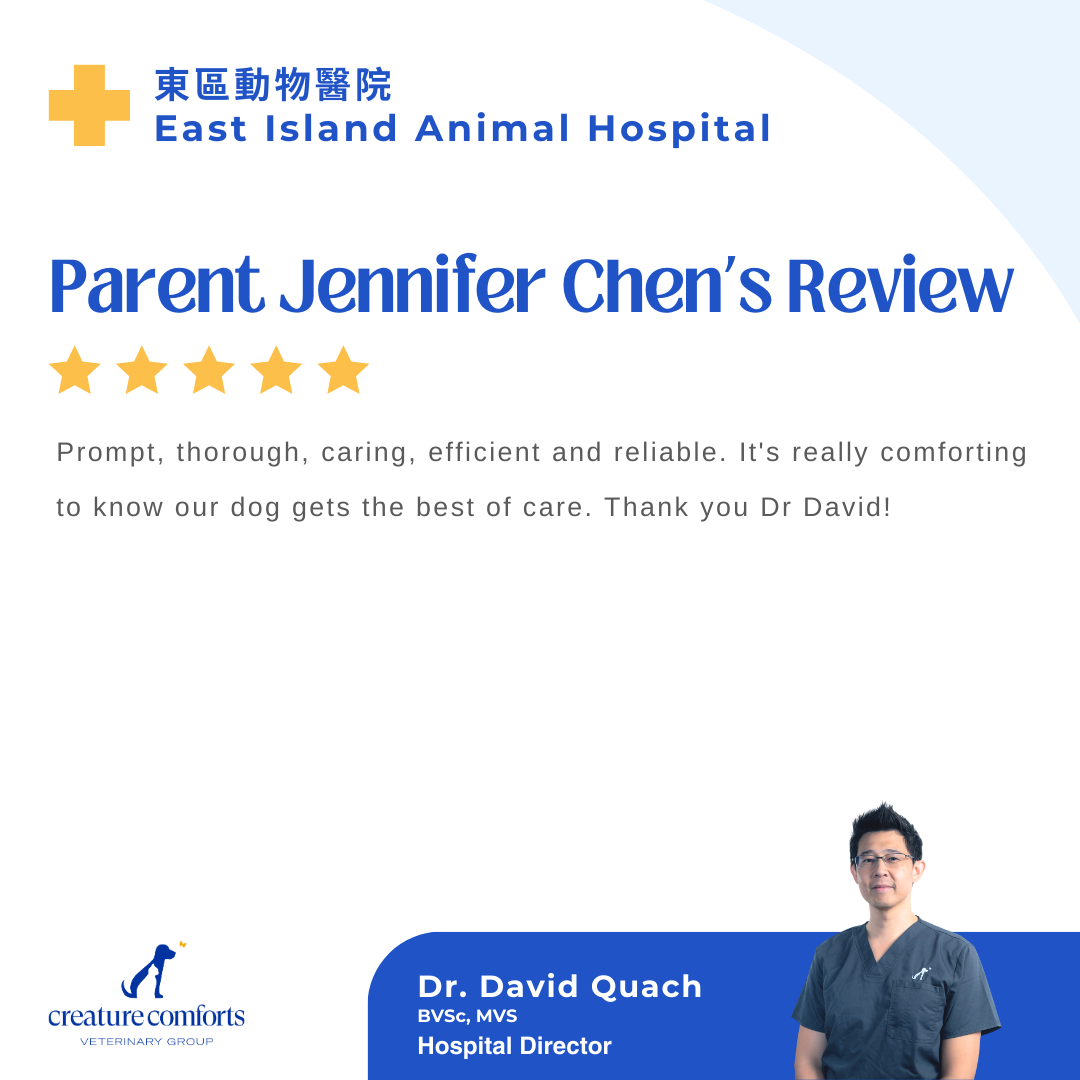 quach-testomonial-14