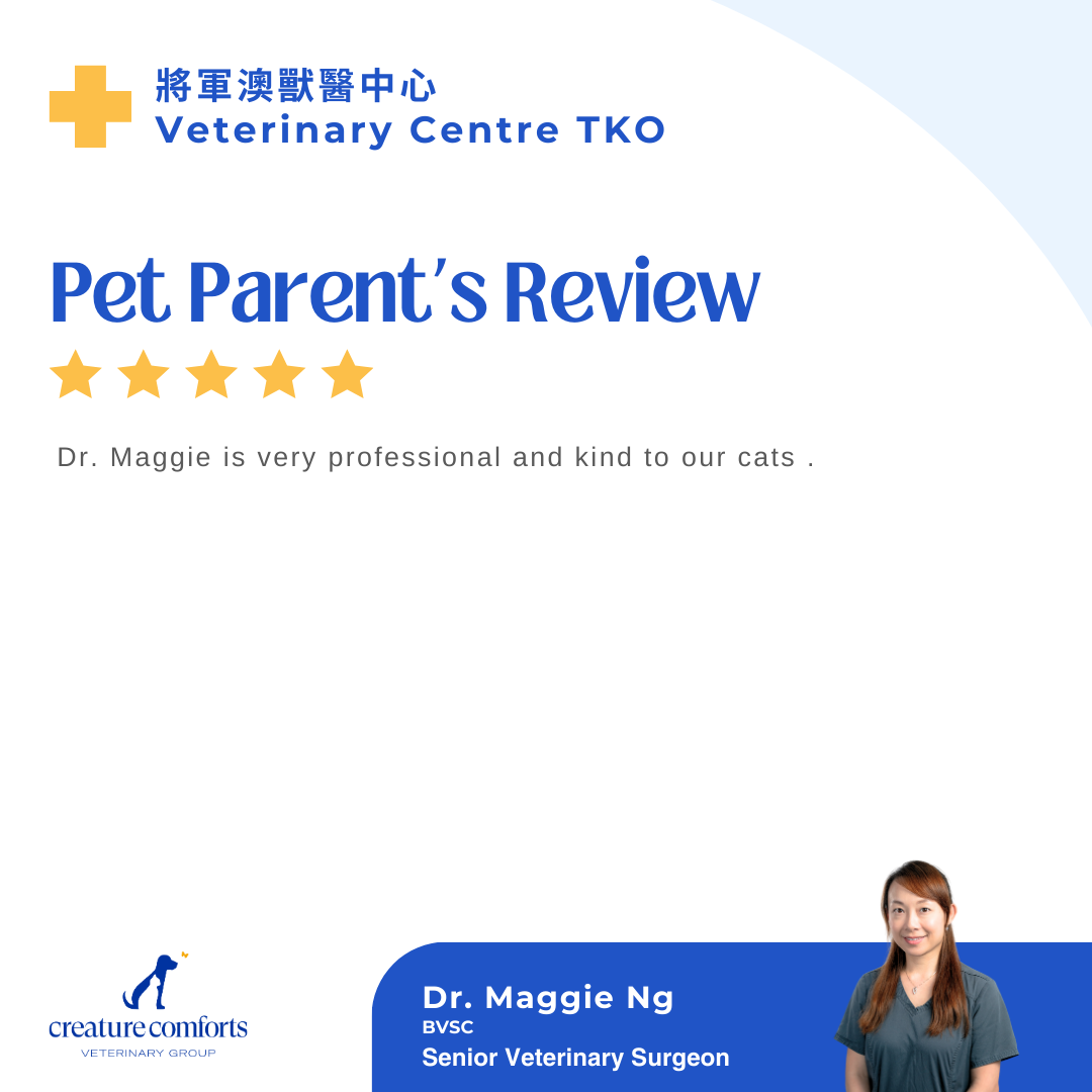 maggie-testomonial-4