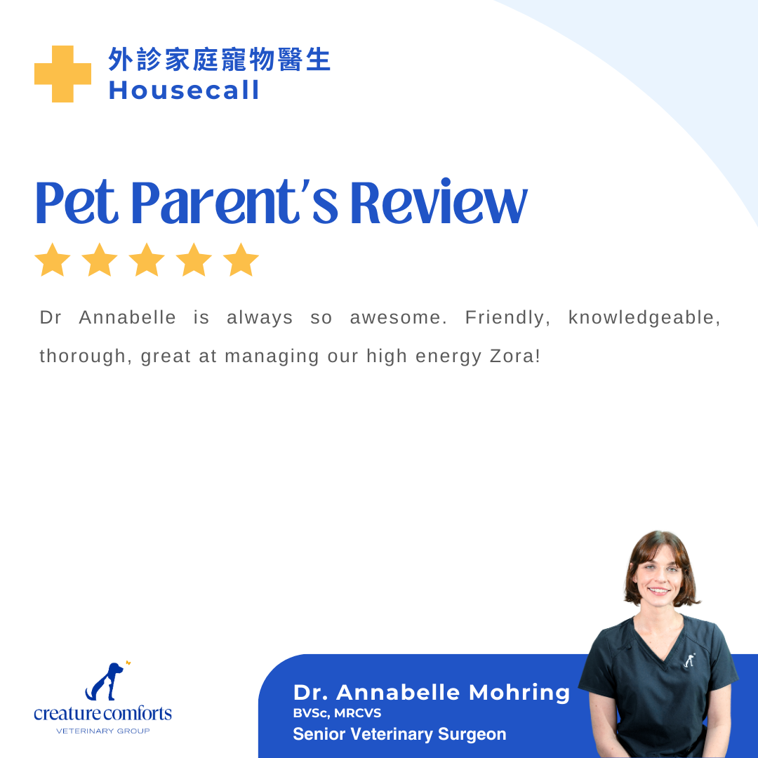 annabelle-testomonial-3