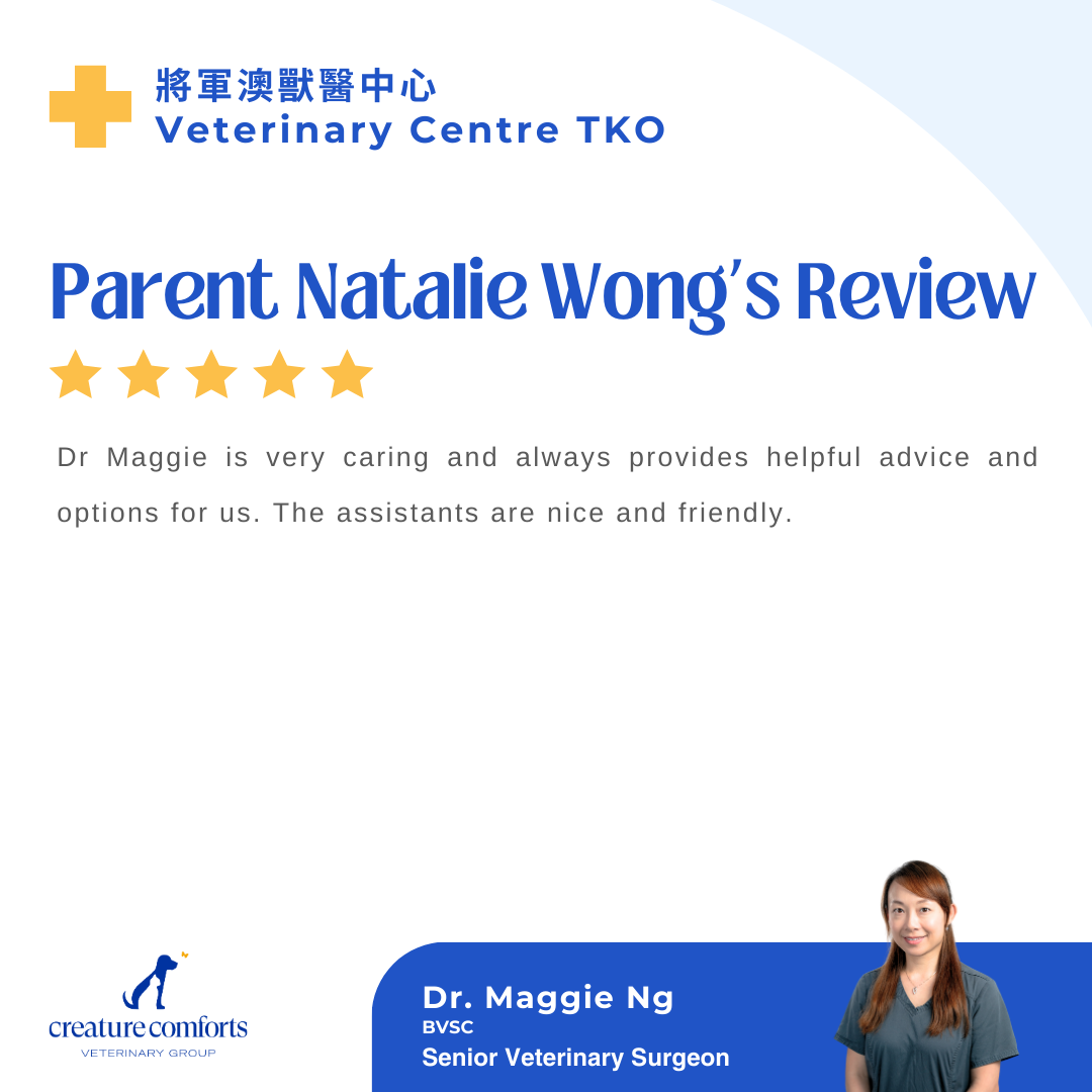 maggie-testomonial-6