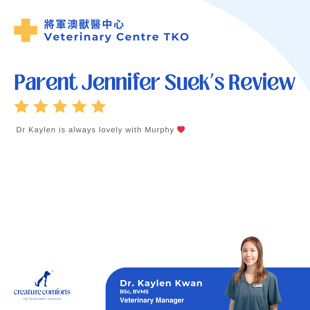 kaylen-testimonial-12