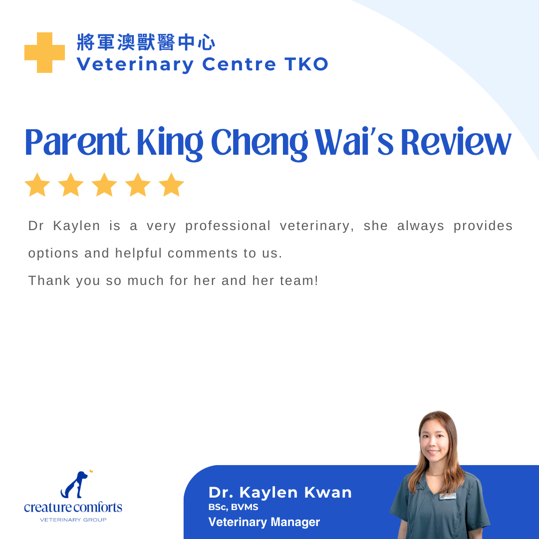 kaylen-testimonial-13