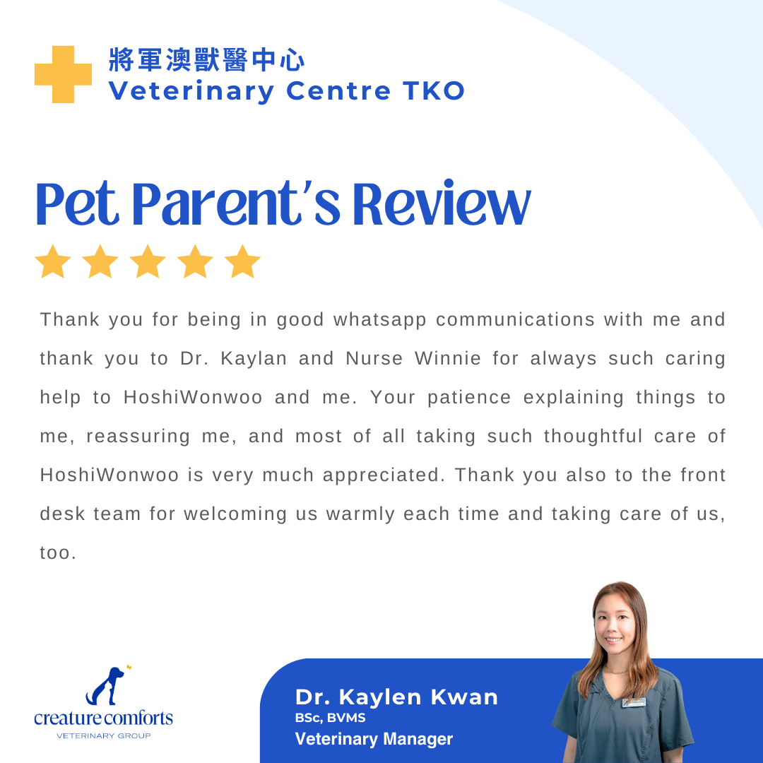 kaylen-testimonial-15