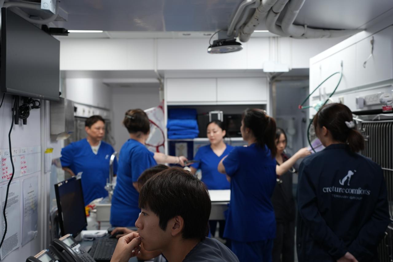 24H_Animal_emergency_center