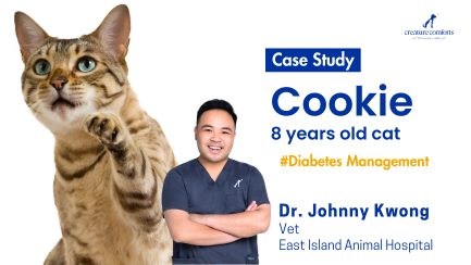 cookie_diabetes_journey