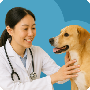 why_annual_bloodwork