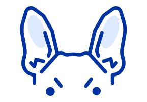 chronic_ear_infection_management