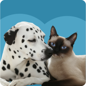 environmental_vs_food