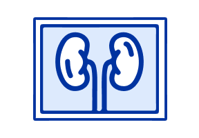 ultrasound_and_imaging_for_kidney_structure