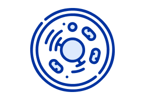skin_scraping_cytology_and_culture