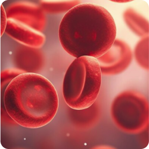 conditions_we_find_in_wellness_blood_tests