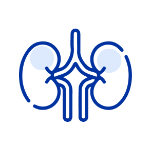 renal-imp-2