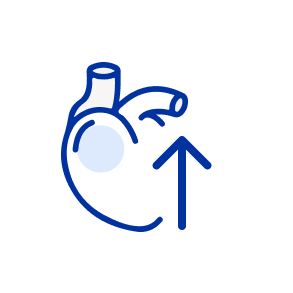 renal-imp-3