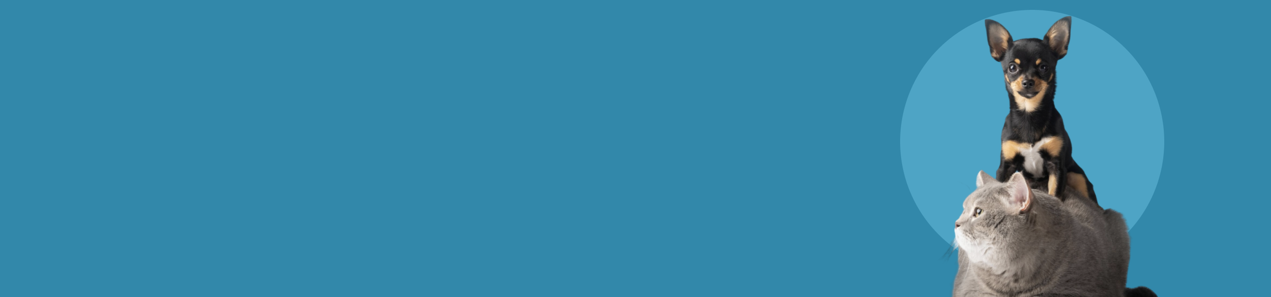 lump-blog-desktop