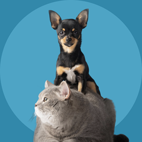 how_to_monitor_lump_at_home