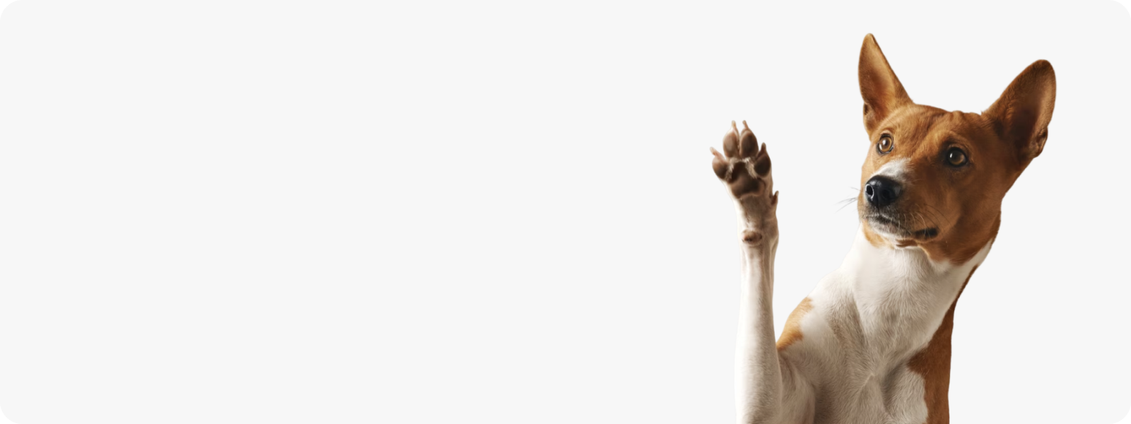 skin-blog-desktop